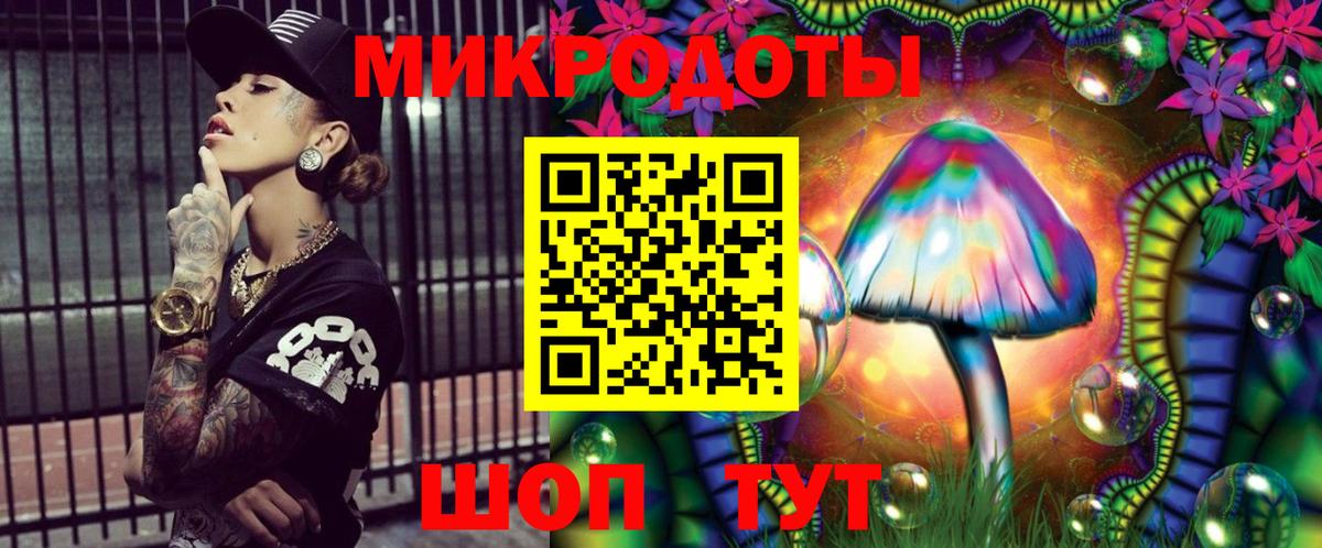 Галлюциногенные грибы Psilocybine cubensis Переславль-Залесский