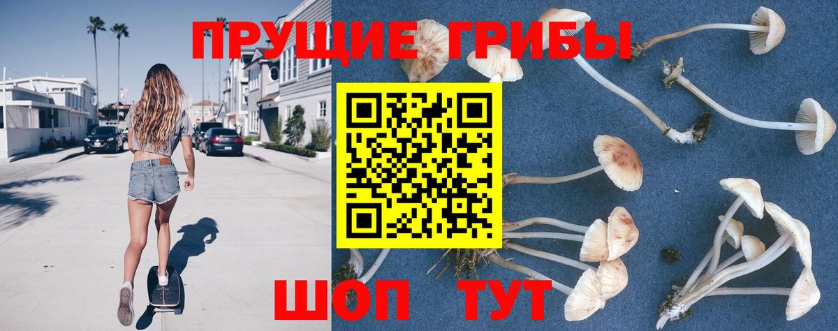 Переславль-Залесский  купить наркотик  Вход с VPN  Галлюциногенные грибы ЛСД 